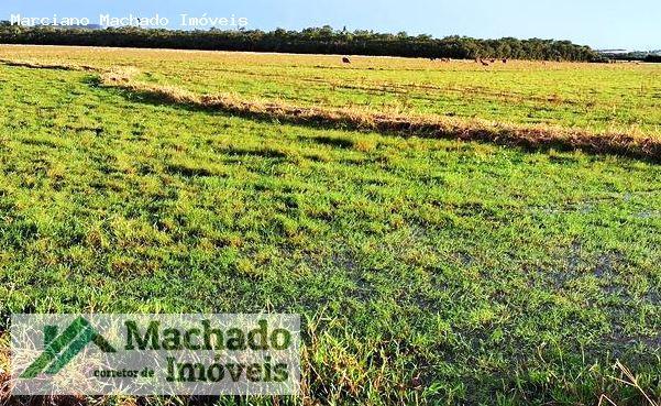 Fazenda, 94 hectares - Foto 3