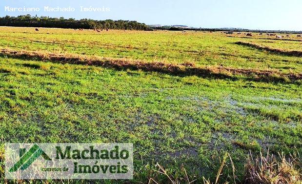 Fazenda, 94 hectares - Foto 2