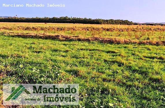 Fazenda, 94 hectares - Foto 4