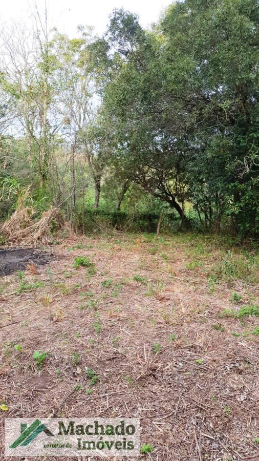 Terreno, 2 hectares - Foto 4