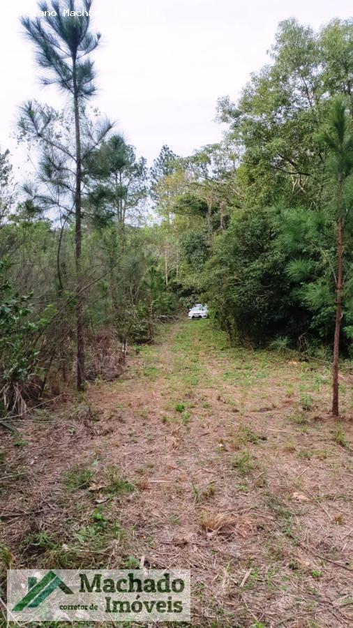 Terreno, 2 hectares - Foto 7