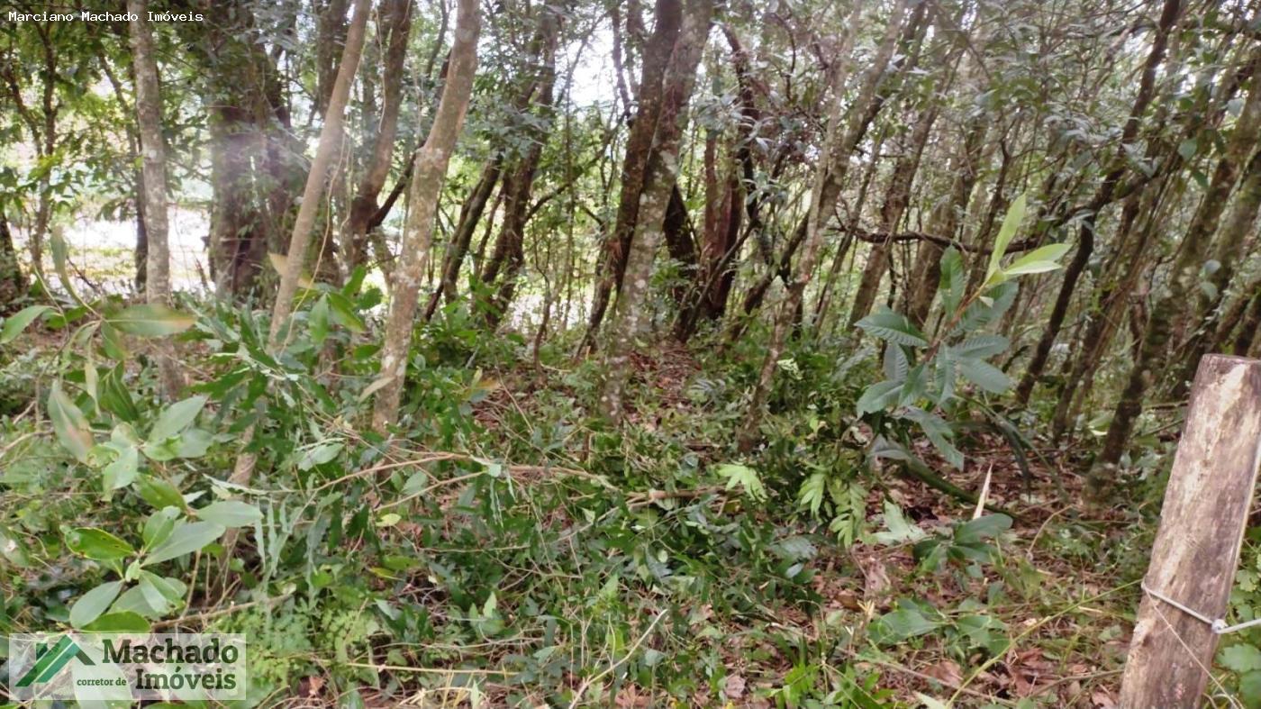 Terreno, 2 hectares - Foto 11