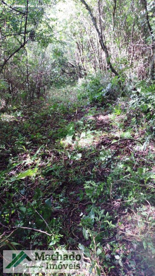 Terreno, 2 hectares - Foto 10