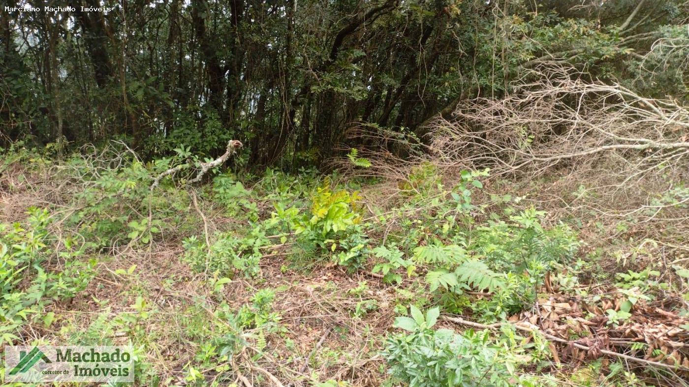 Terreno, 2 hectares - Foto 12