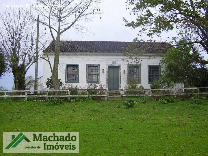 Fazenda, 730 hectares - Foto 1