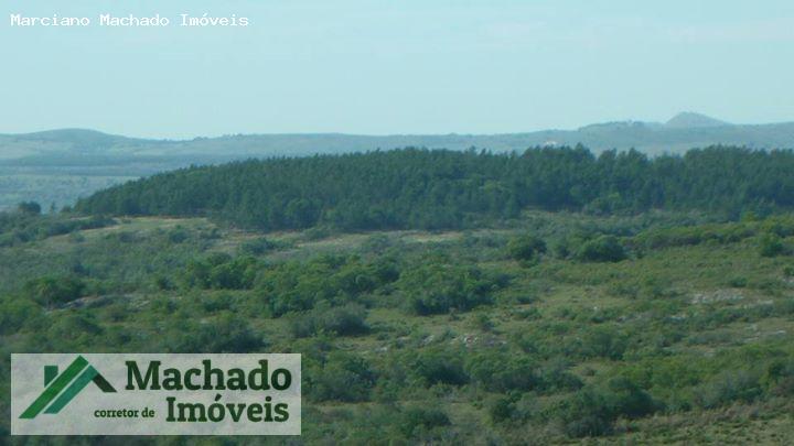 Fazenda, 730 hectares - Foto 2