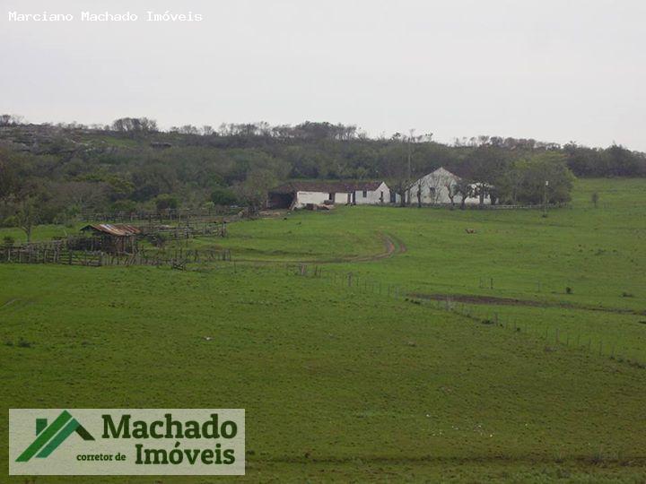 Fazenda, 730 hectares - Foto 4