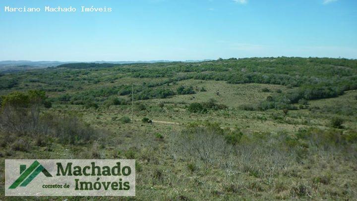 Fazenda, 730 hectares - Foto 5