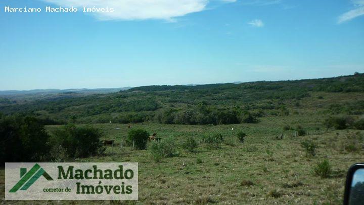 Fazenda, 730 hectares - Foto 6