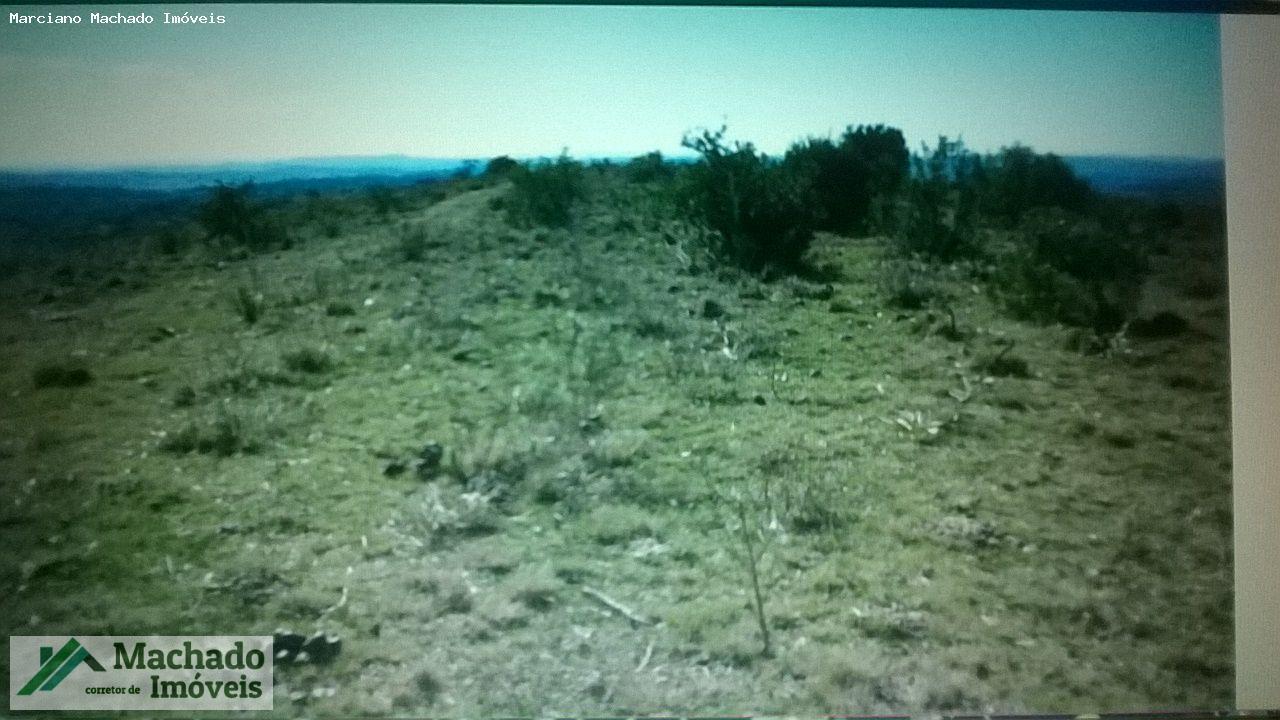 Fazenda, 730 hectares - Foto 9