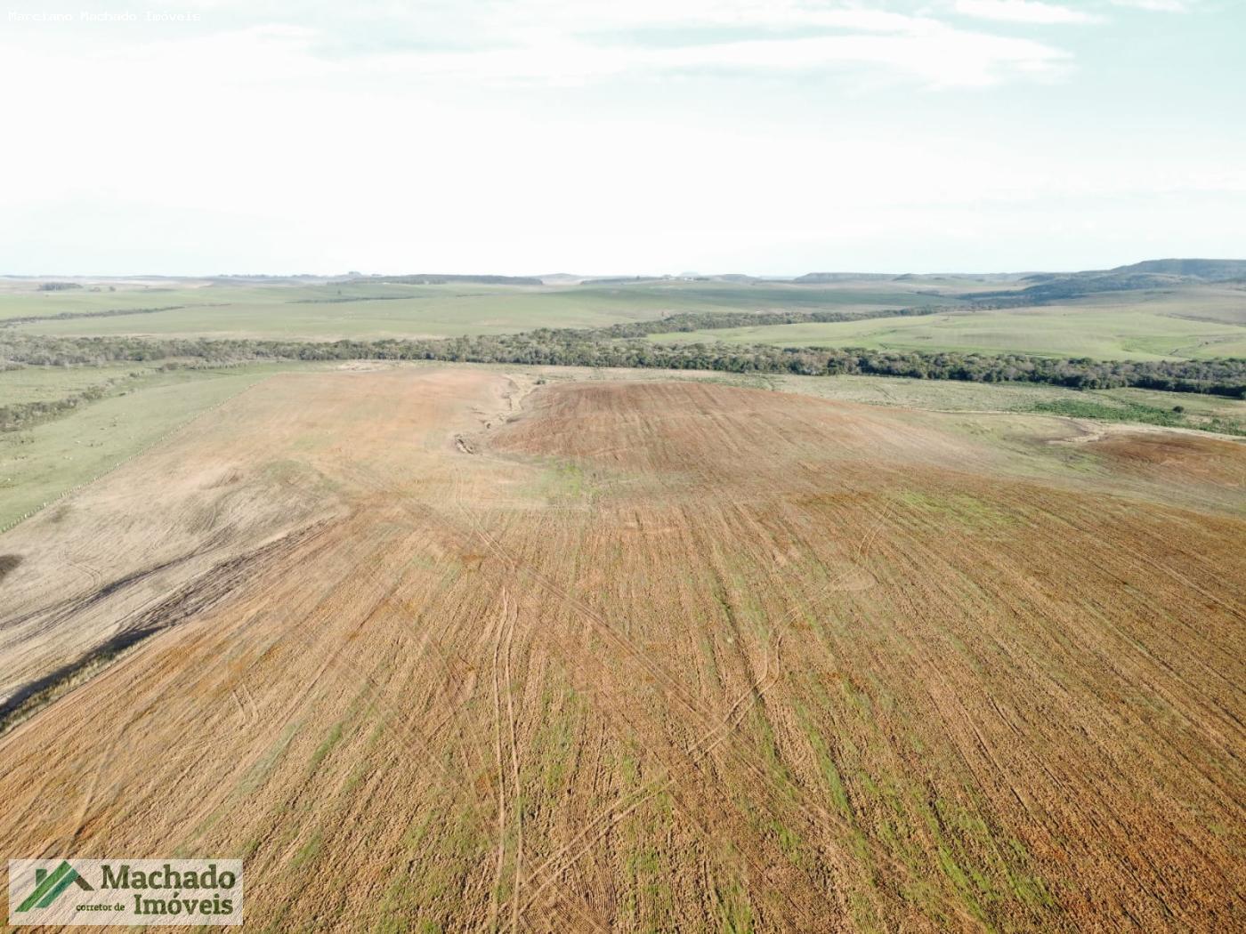 Fazenda, 139 hectares - Foto 2