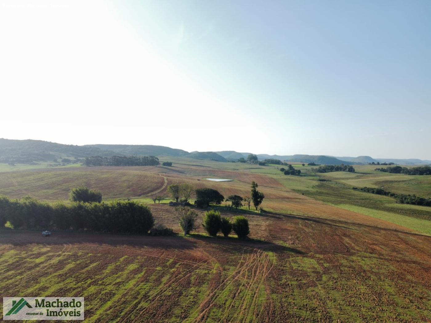 Fazenda, 139 hectares - Foto 3