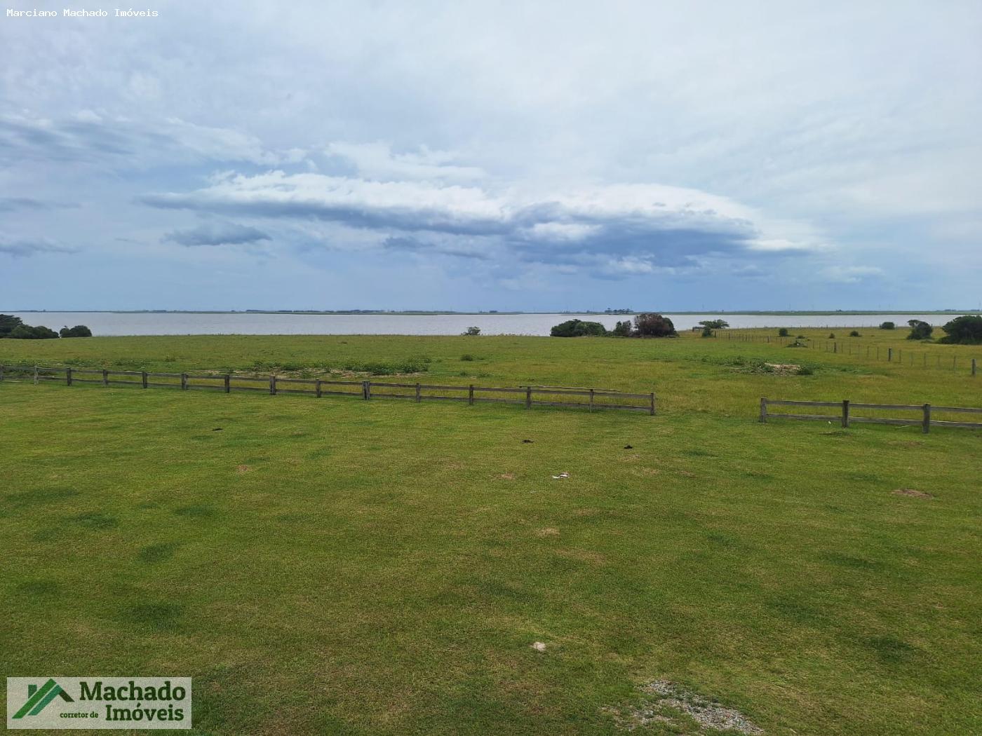 Fazenda, 1000 hectares - Foto 4