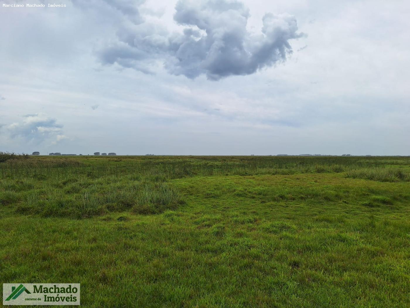 Fazenda, 1000 hectares - Foto 5