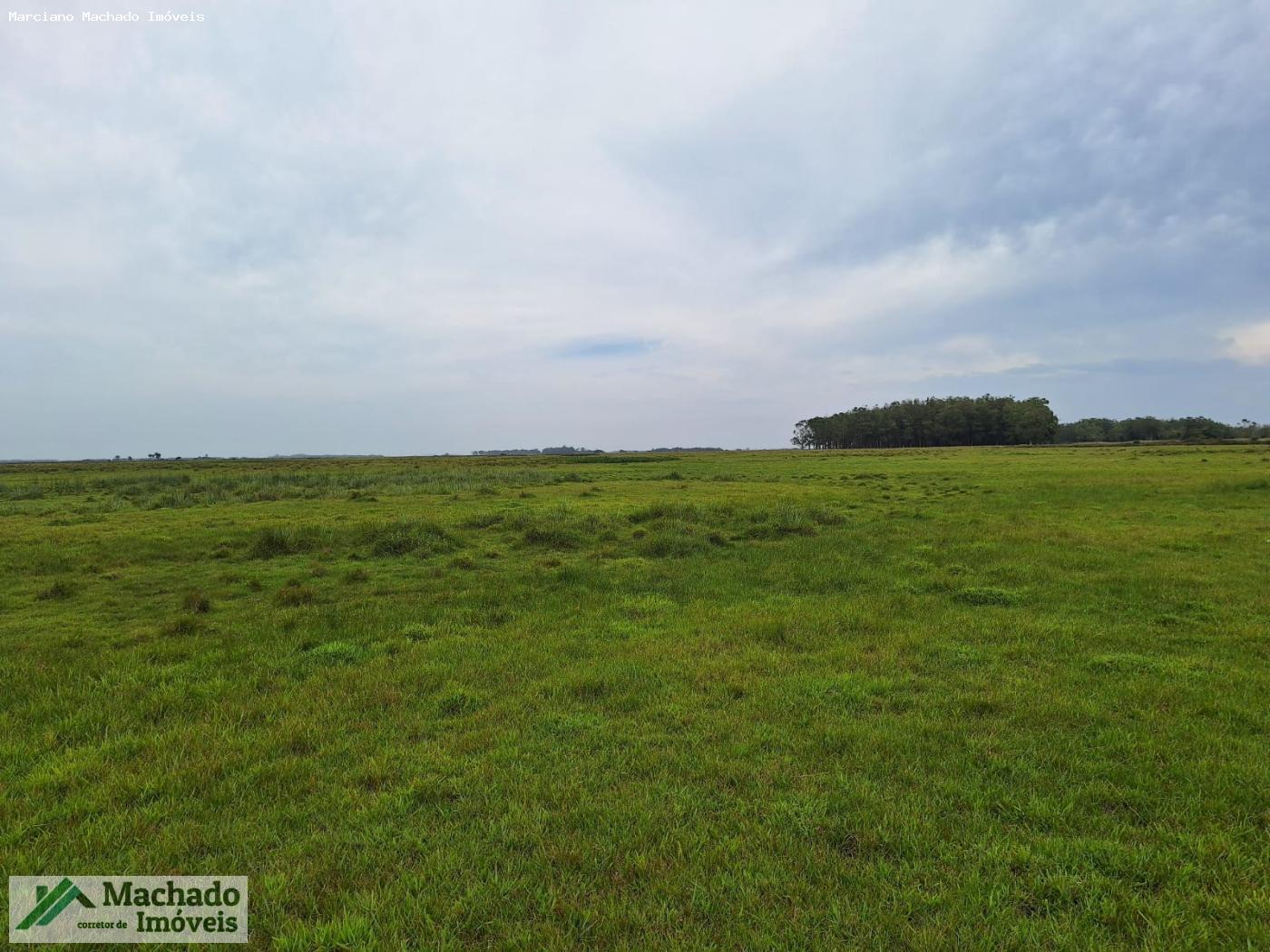 Fazenda, 1000 hectares - Foto 10