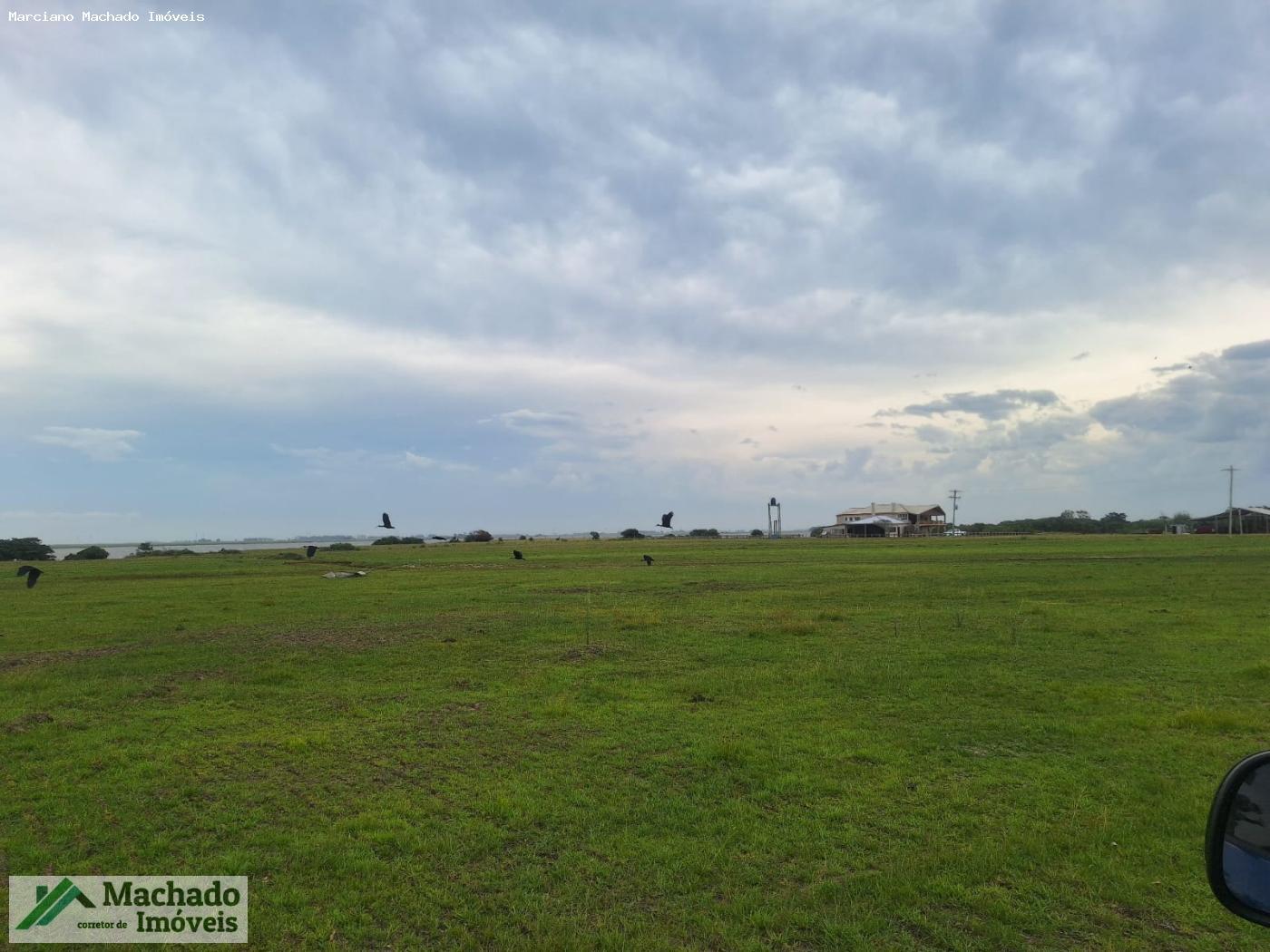 Fazenda, 1000 hectares - Foto 15