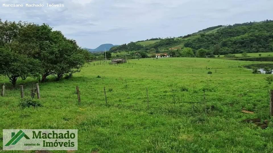 Fazenda, 44 hectares - Foto 1