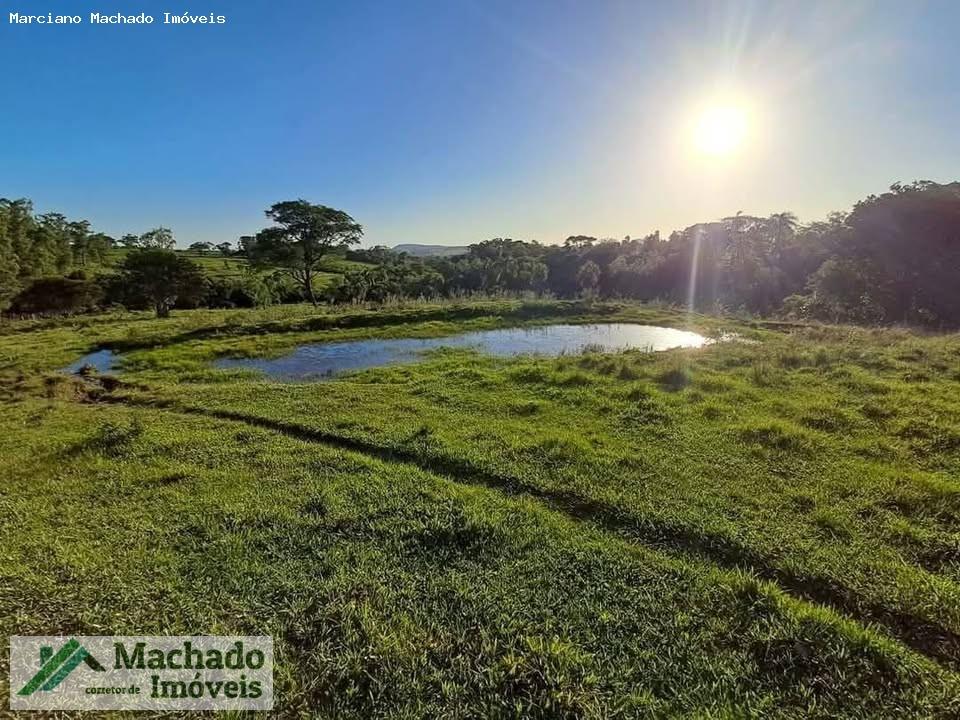 Fazenda, 44 hectares - Foto 2