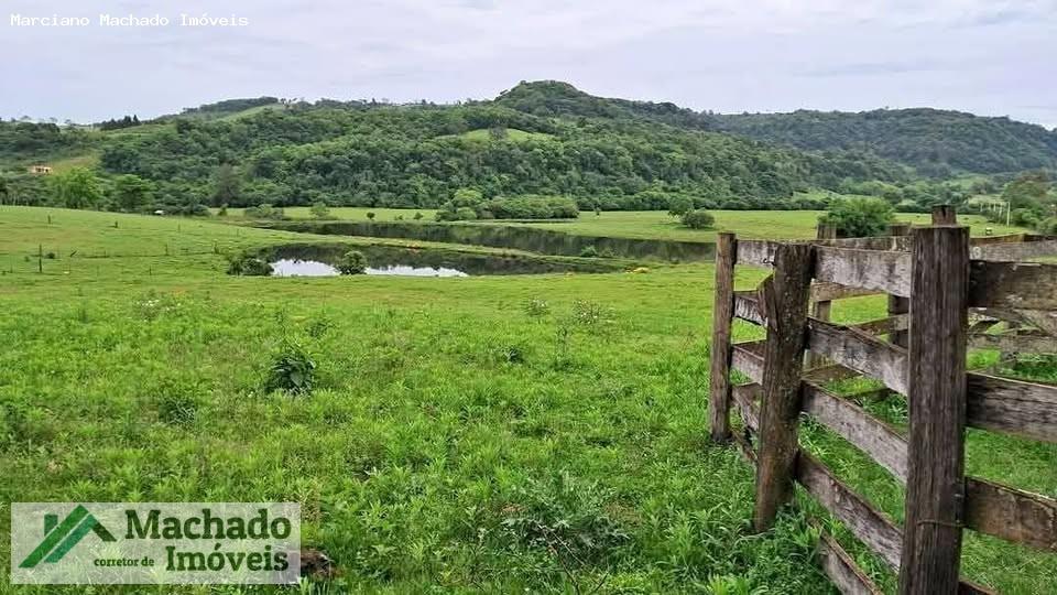 Fazenda, 44 hectares - Foto 4