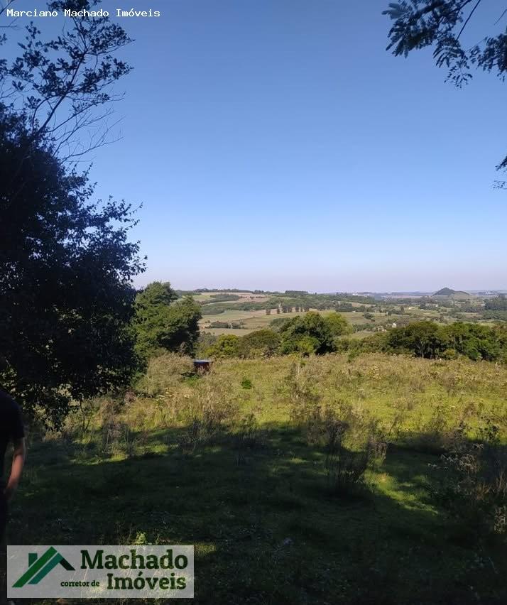 Fazenda, 44 hectares - Foto 5