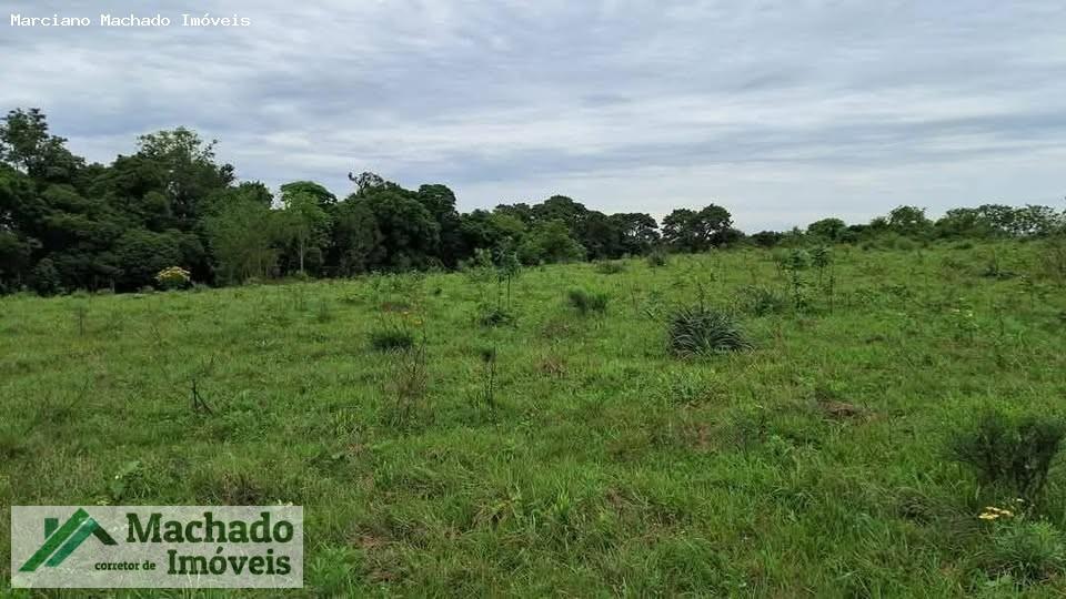 Fazenda, 44 hectares - Foto 6