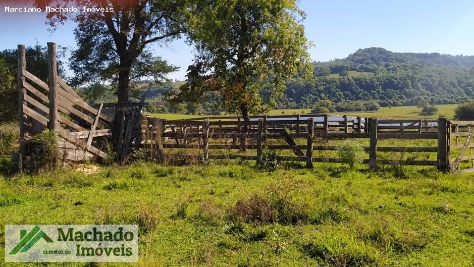 Fazenda, 44 hectares - Foto 3