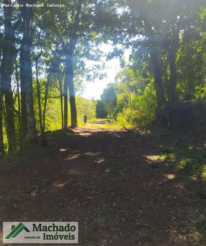 Fazenda, 44 hectares - Foto 11