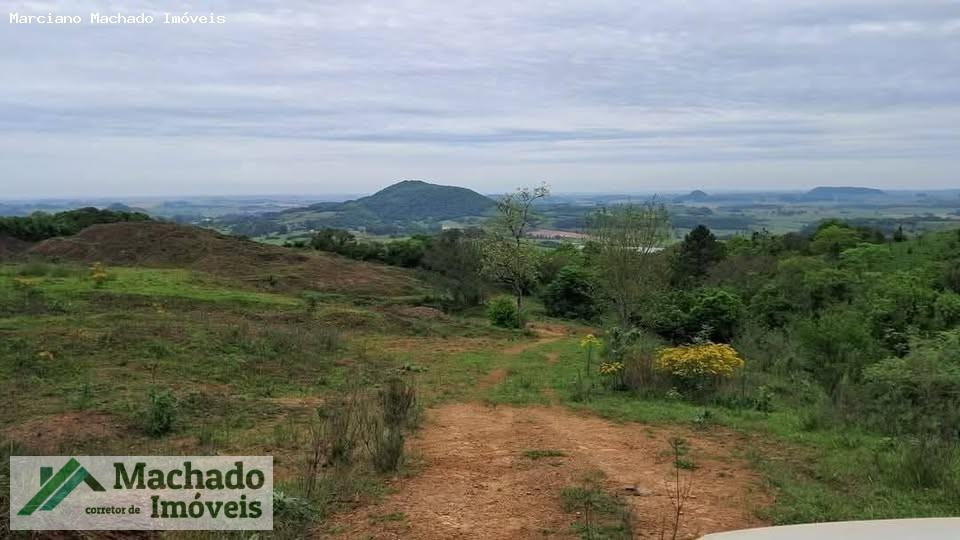 Fazenda, 44 hectares - Foto 10