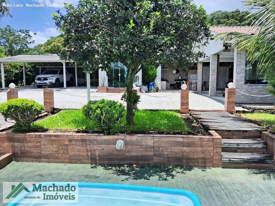 Chácara, 4 hectares - Foto 4