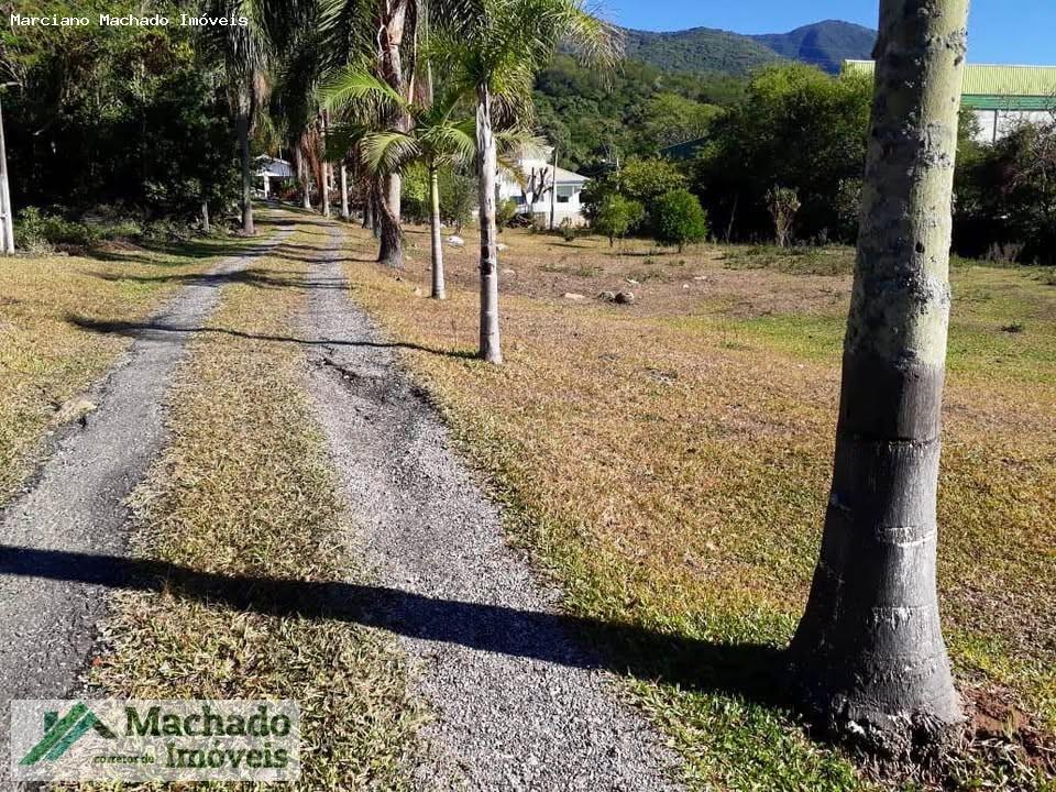 Chácara, 4 hectares - Foto 11