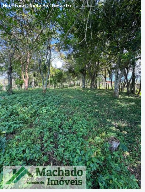 Chácara, 1995 m² - Foto 6