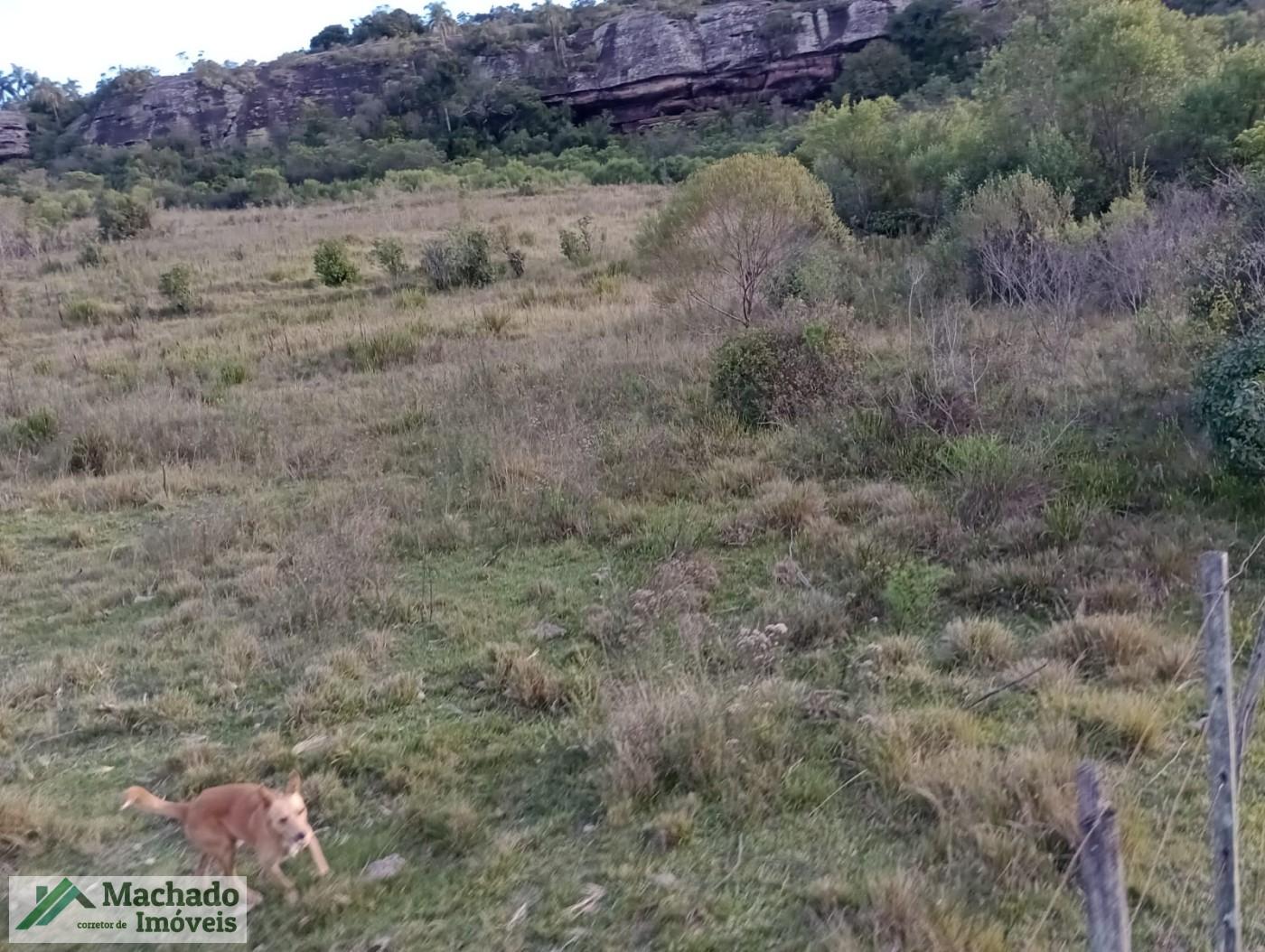 Loteamento e Condomínio, 343 hectares - Foto 2