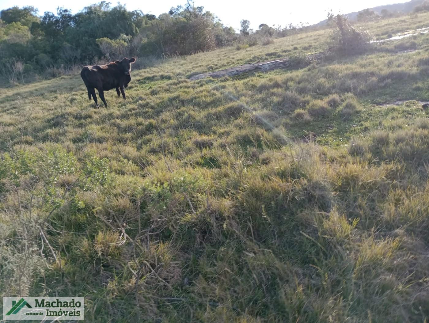 Loteamento e Condomínio, 343 hectares - Foto 6