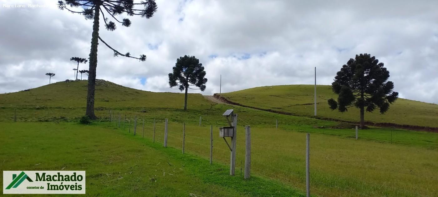 Chácara, 30 hectares - Foto 1