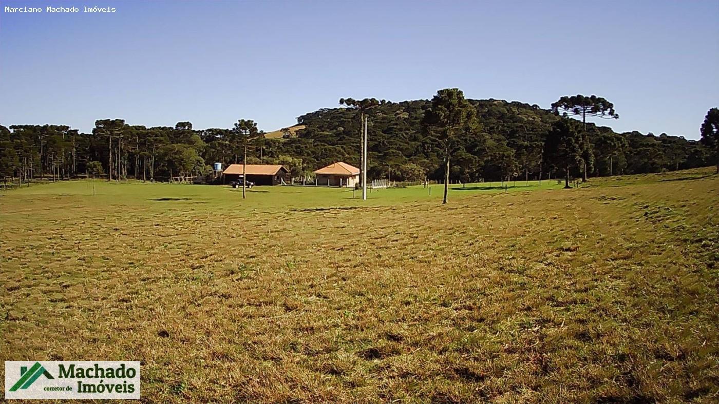 Chácara, 30 hectares - Foto 2