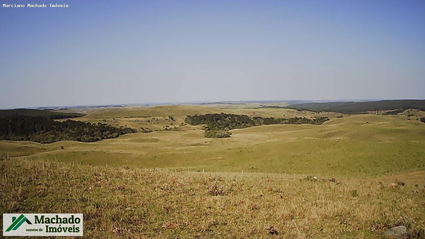 Chácara, 30 hectares - Foto 3