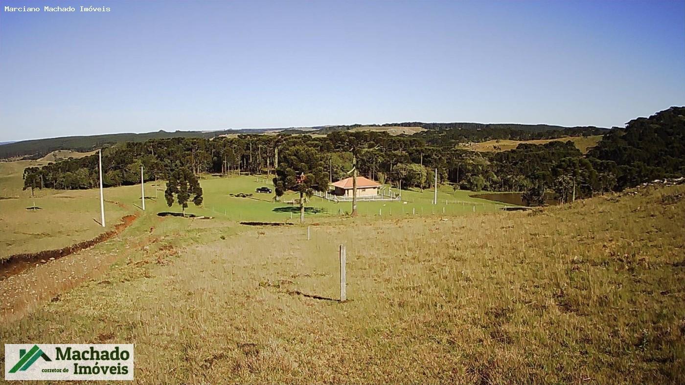 Chácara, 30 hectares - Foto 4