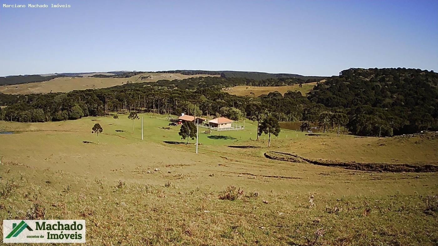 Chácara, 30 hectares - Foto 6