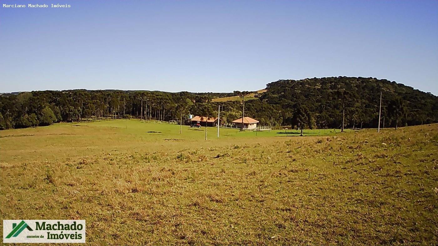 Chácara, 30 hectares - Foto 7