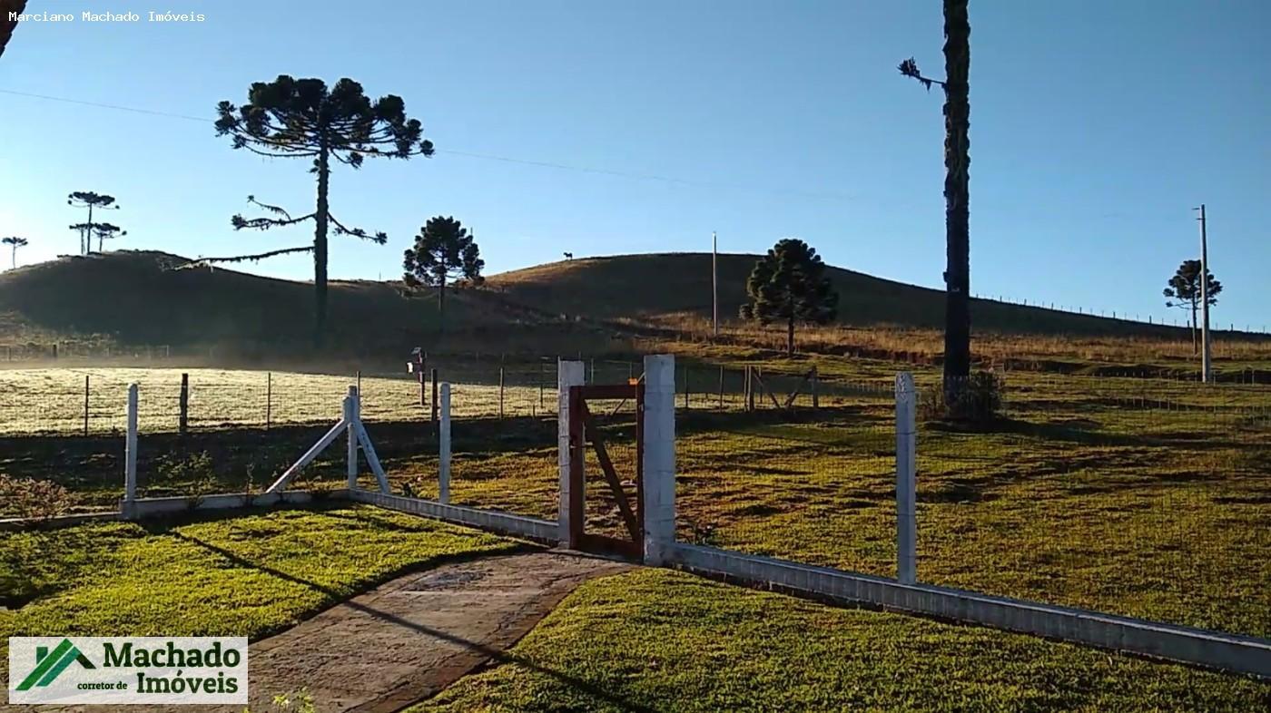 Chácara, 30 hectares - Foto 9