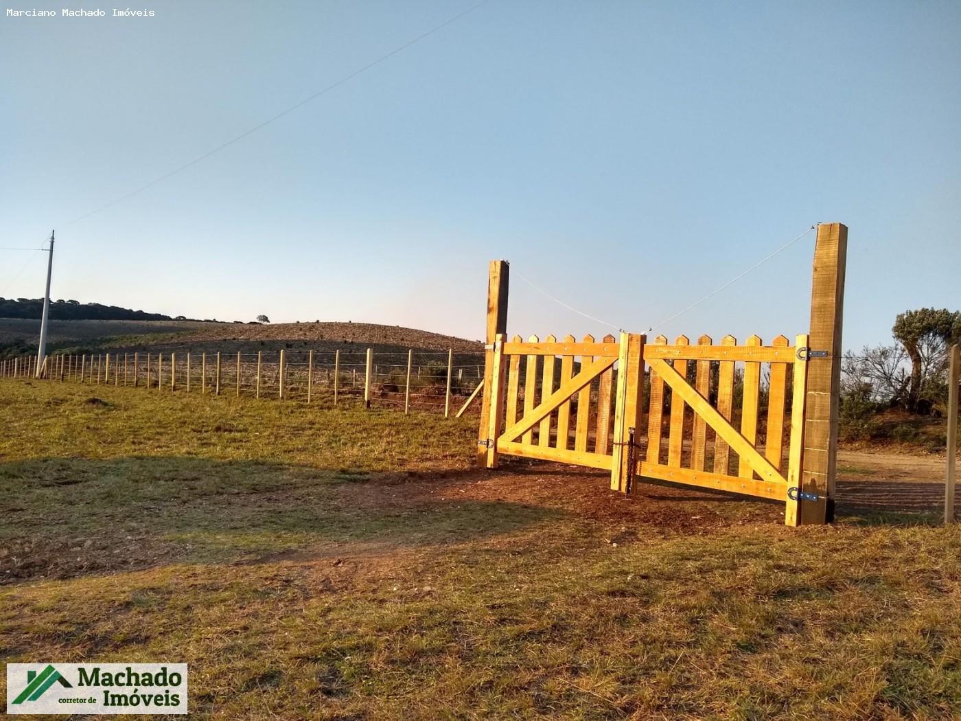 Chácara, 30 hectares - Foto 10