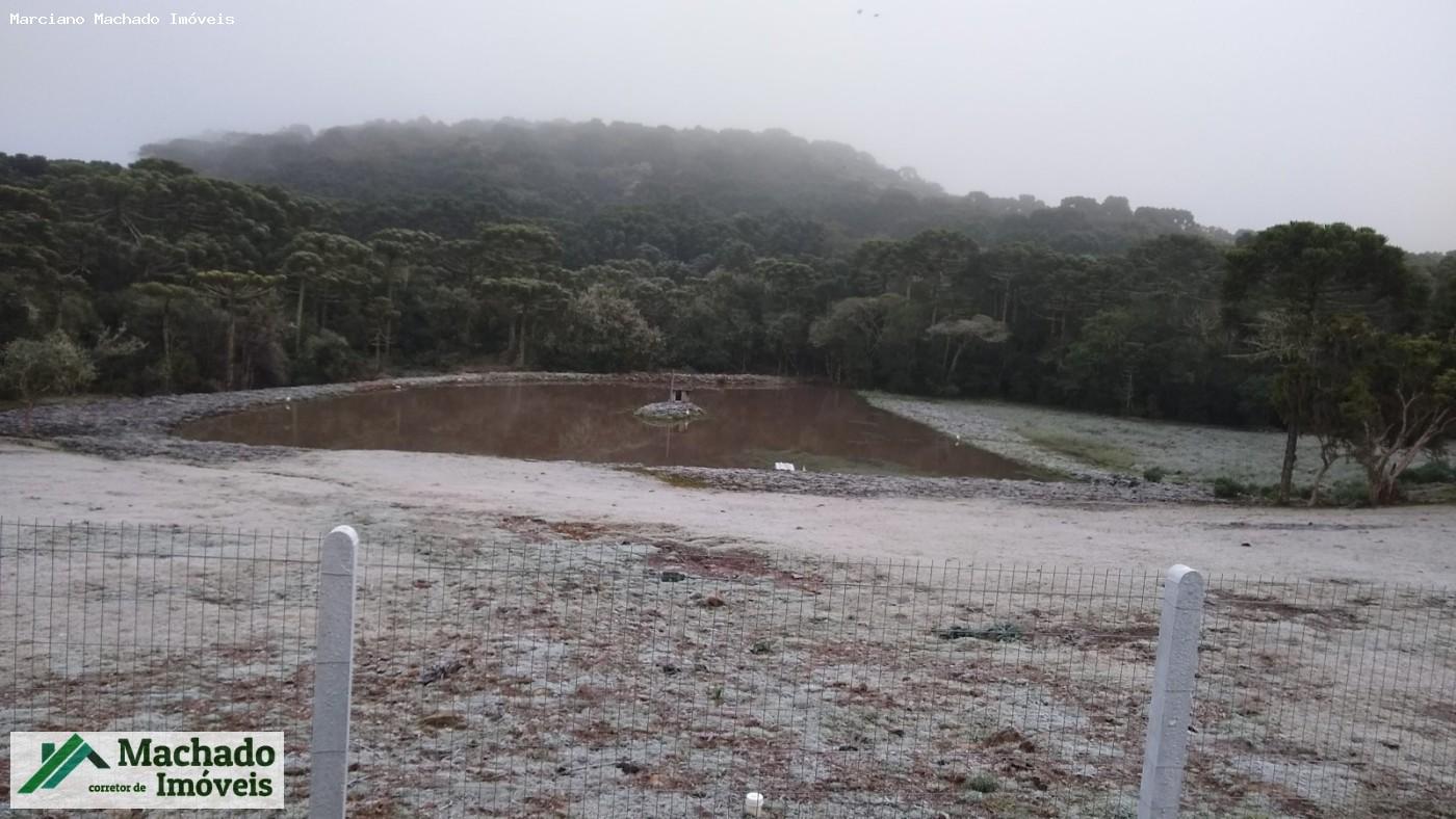 Chácara, 30 hectares - Foto 12
