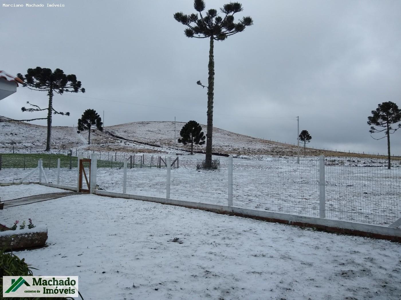 Chácara, 30 hectares - Foto 11
