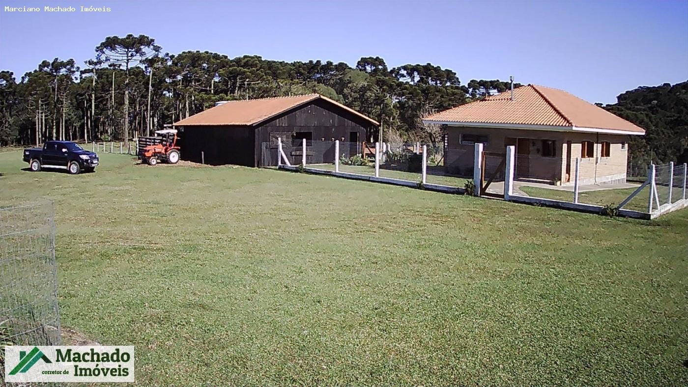 Chácara, 30 hectares - Foto 41