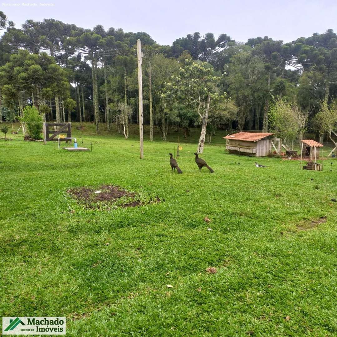 Chácara, 30 hectares - Foto 45