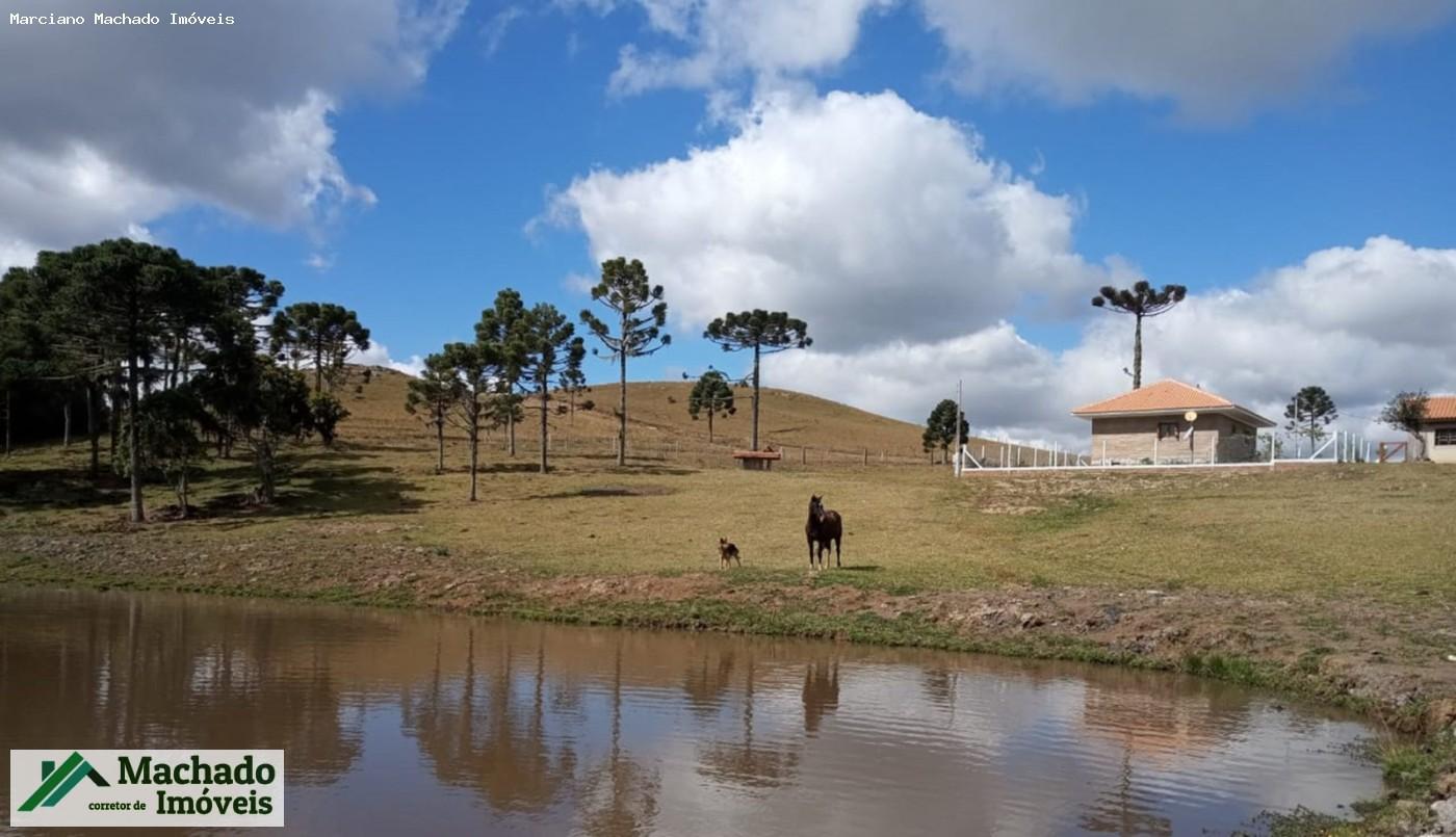 Chácara, 30 hectares - Foto 46
