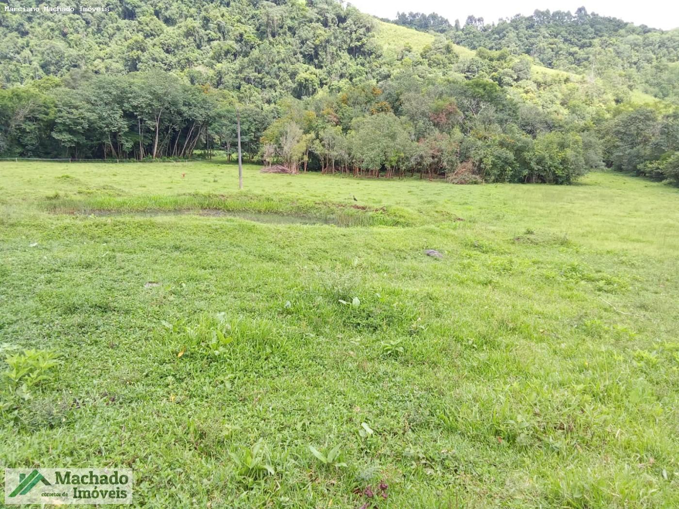 Sítio, 7 hectares - Foto 8