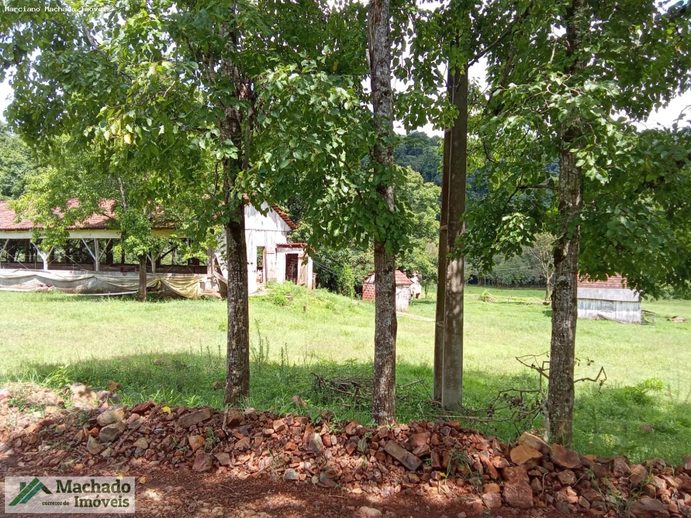 Sítio, 7 hectares - Foto 10